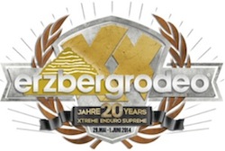 1020 ErzbergrodeoLOGO