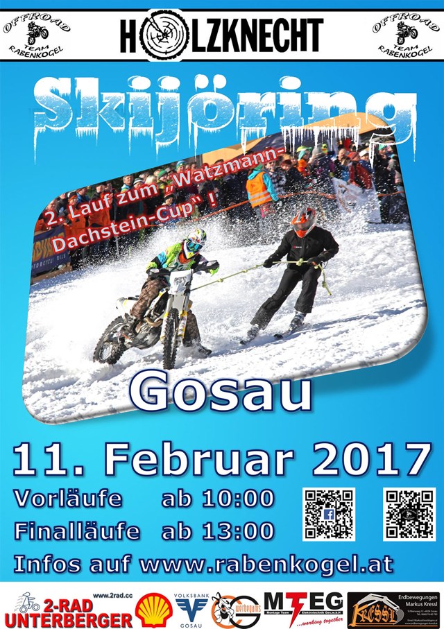 0112 gosauplakat